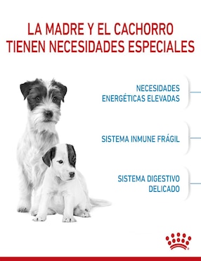 Croqueta Royal Canin original para perro raza pequeña etapa cachorro contenido individual 1.1 kg