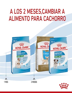 Croqueta Royal Canin original para perro raza pequeña etapa cachorro contenido individual 1.1 kg