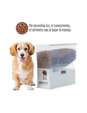 Comedero para perro Level Home