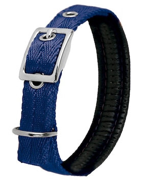 Correa y collar Petits para perro