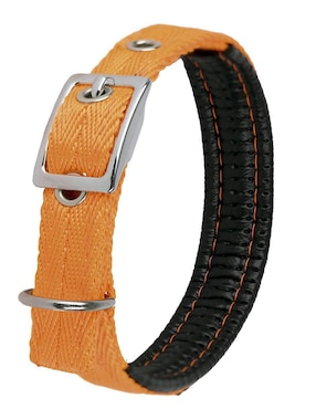 Correa y collar Petits para perro