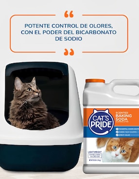 Arena Cat's Pride para gato