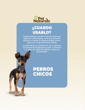 Calmante para mascota Pet Naturals para perros 31.5 g
