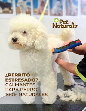 Calmante para mascota Pet Naturals para perros 31.5 g