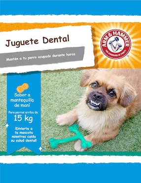 Juguete para perro Arm & Hammer