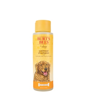 Shampoo Burt's Bees