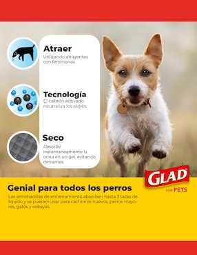 Tapete entrenador Glad para perro