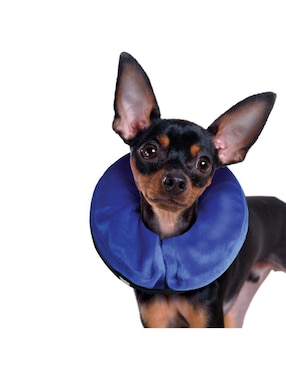 Collar Kong para perro