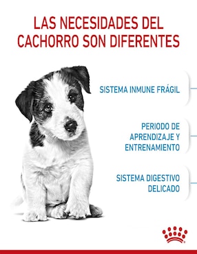 Croqueta Royal Canin de Pollo para perro etapa cachorro Miniatura contenido 6.36 kg