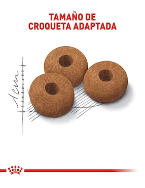 Croqueta Royal Canin para gato etapa adulto contenido 6.36 kg