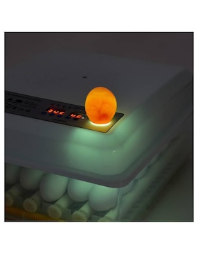 Incubadora para huevos Gutstark mkz-incuba36hbla