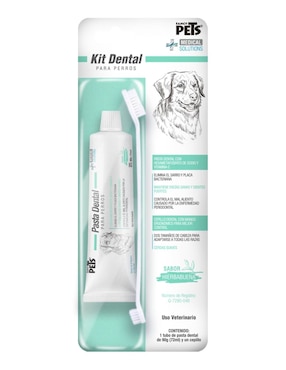 Pasta Dental Medical Solutions