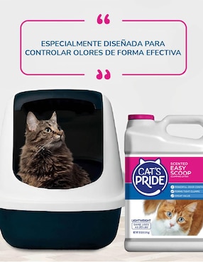 Arena Cat's Pride