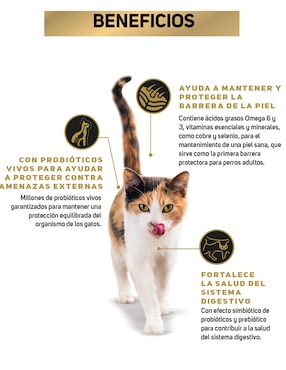 Croqueta Pro Plan de Pavo para gato etapa adulto contenido 3 kg