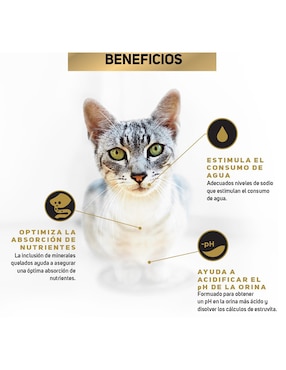 Croqueta Pro Plan de Pollo para gato etapa adulto contenido 1.5 kg
