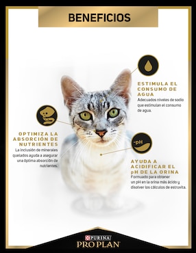 Croqueta Pro Plan de Pollo para gato etapa adulto contenido 7.5 kg