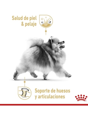 Croqueta Royal Canin de pollo para perro raza pequeña etapa adulto contenido individual