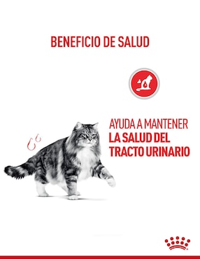 Croqueta Royal Canin de Pollo para gato etapa adulto contenido 3.5 kg