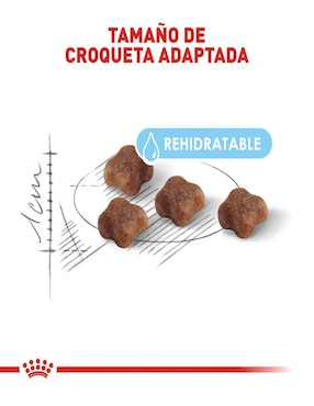 Croqueta Royal Canin de Pollo para gato etapa cachorro contenido 3.5 kg