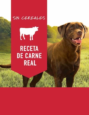 Alimento húmedo Instinct de Carne para perro todas las etapas contenido 374 g