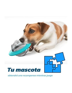 Plato para mascota Bluelander