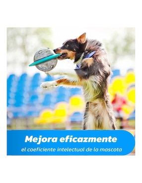 Plato para mascota Bluelander
