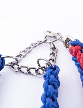 Correa y collar Pet to Bed de nylon para perro