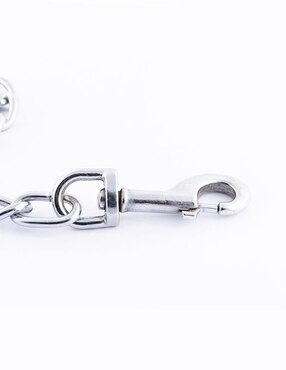 Collar Pet to Bed de acero para perro