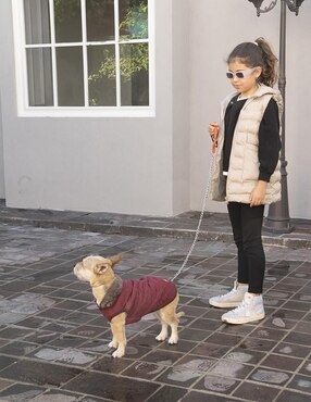 Collar Pet to Bed de acero para perro