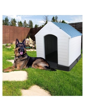 Casa para perro Ajolopet