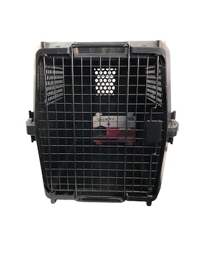Transportadora para perro Moderna de plástico