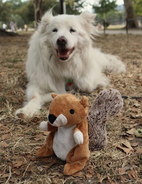 Peluche para perro Kikkerland