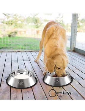 Comedero para perro y gato