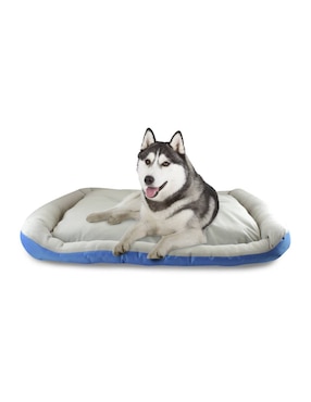 Cama para perro Fancy Pets