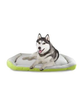 Cama para perro y gato Fancy Pets