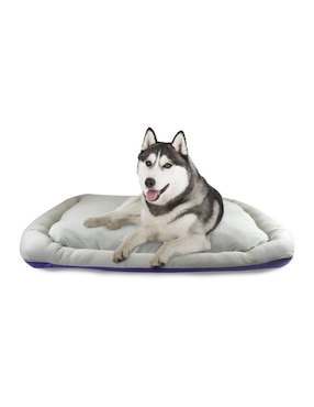 Cama para perro y gato Fancy Pets