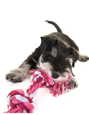 Juguete con cuerda para perro Fancy Pets