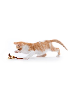 Juguete para gato Naturance