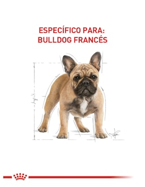 Croqueta Royal Canin de pollo para perro raza pequeña etapa adulto contenido individual 7.7 kg