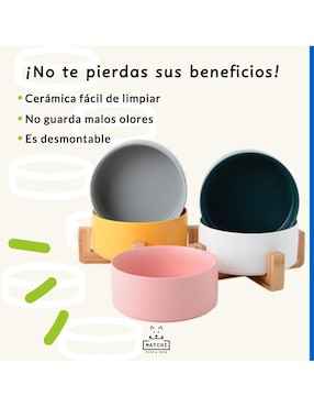 Plato para todas las especies Matchi