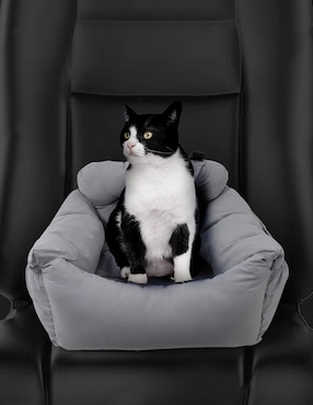 Autoasiento para mascota Zoopet
