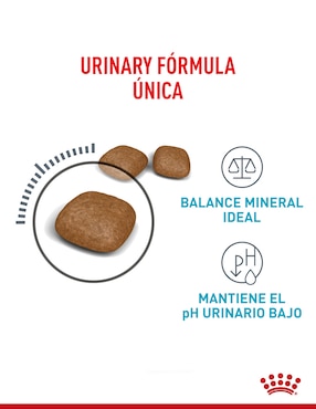 Croqueta Royal Canin para gato etapa adulto contenido 3.5 kg