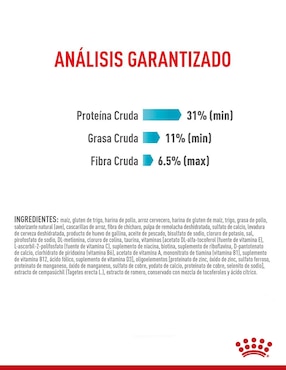 Croqueta Royal Canin para gato etapa adulto contenido 3.5 kg
