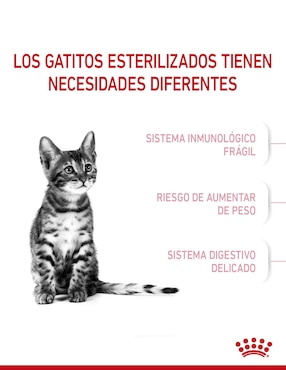 Croqueta Royal Canin para gato etapa cachorro contenido 1.1 kg