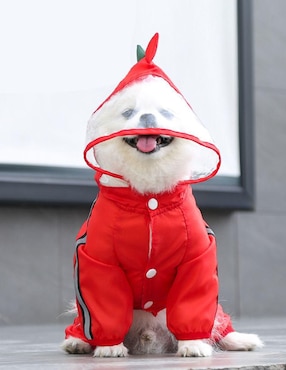 Impermeable para perro Maypet