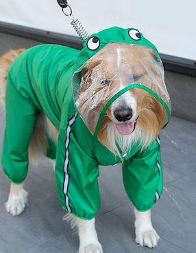 Impermeable para perro Maypet