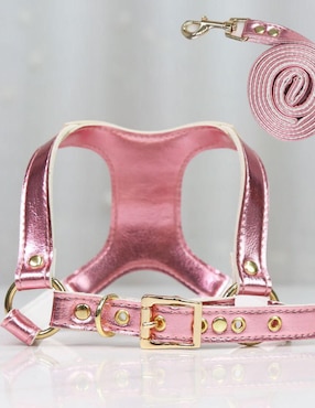Collar decorativo para perro Maypet