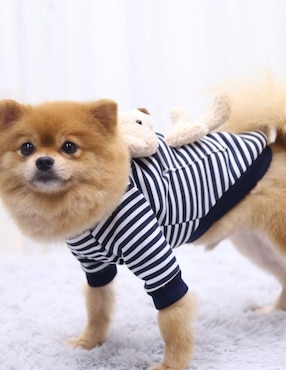 Sudadera para perro Maypet