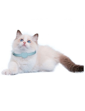 Collar decorativo para mascota Maypet