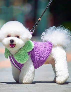 Suéter para perro Maypet